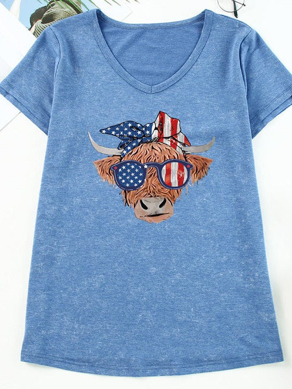 Simple Sky Blue Printed V-Neck T-Shirt with American Flag Design