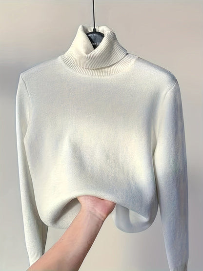 Solid Cozy Turtle Neck Long Sleeve Pullover Sweater