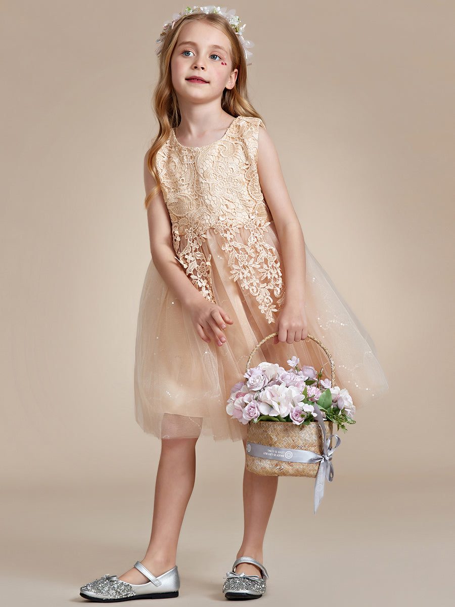 Elegant Lace Sleeveless Embroidered A-Line Flower Girl Dresses